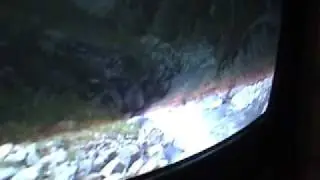 T_musee_28octobre09.mp4
