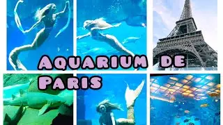 VISITE DE L'AQUARIUM DE PARIS & SPECTACLE DE LA SIRÈNE