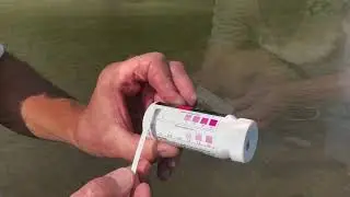 Nitrate/Nitrite Test