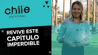Chile Sustentable: Programa del 20 de Noviembre de 2021