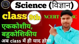 एककोशकीय और बहुकोशकीय जीव क्या हैं? | What are Unicellular and Multicellular Organisms?