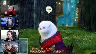 Чат гильдии LightBringers Echovald Forest Co Stream Guild Wars 2