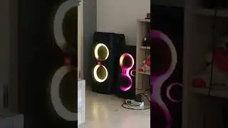 JBL PARTYBOX 300 + JBL PARTYBOX 110. BASS MIKE SATURATION 🔥