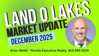 December 2025 Land O Lakes Real Estate Market Update - Single Family Homes - Active Pending Sold