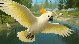 Cockatoo VS All Boss - Ultimate Bird Simulator (By Gluten Free Games) [4K 60FPS]