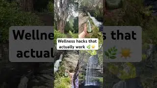 Start your day outside, breathe, move, and get your greens in #wellnesshacks #healthylifestyle