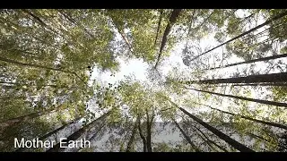 Mother Earth - Music Video