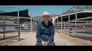 JCU: Bachelor of Veterinary Science (Honours)