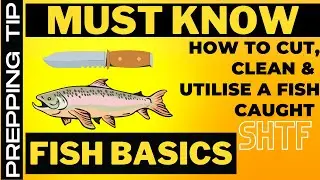 Prepping and survival MUST Know Tips | How to Clean a Fish | Emergency preparedness