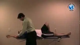 Shoulder Examination
