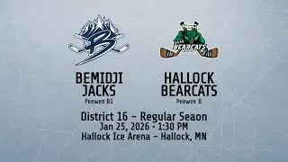 Bemidji Jacks Peewee B1 vs Hallock