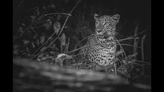 Yala National Park - KudaGalamuna