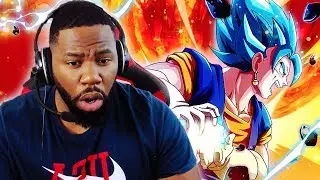 When You Summon A VEGITO BLUE LR Animation On A Dokkan 