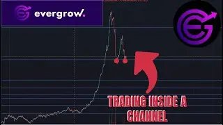 EVERGROW COIN IS SETTING UP FOR A NICE RUN! JOB REPORT DATA!