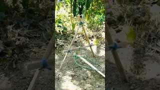 Primitive Bird Trap in the Wild | Survival Bird Trap #Shorts