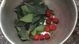 DO NOT EAT THE RED BERRIES THEY SAID! Oops!! (Strawberry Tree Fruit)