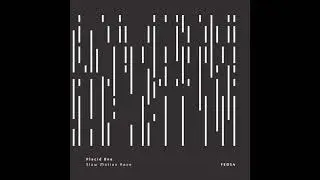 Placid One -- Slow Motion Race