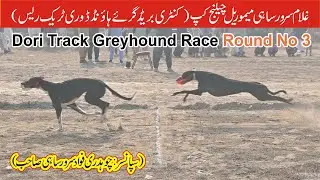 Dogs Race || Dori Track Race || Round # 3 || Muhammad wala Fsd || 20-01-2026 #dog