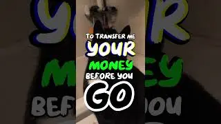 Жизнь стоит того, чтобы жить #stateofkansass #cat #short #shorts #shortsvideo #shortvideos #short...