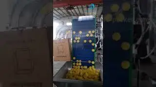 Automatic cap elevator type sorting feeding machine plastic big diameter cap sorter machine