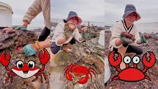 Спасение краба, застрявшего в каменной яме 🦀 Крабовый хлеб #краб #рыбалка #ловля #охота