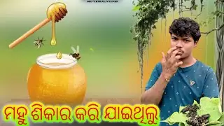ମହୁ ଶିକାର କରି ଯାଇଥିଲୁ ||Honey Hunting In Forest 🍯 🍯 || #motribalvlogs 