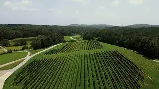 Yonah Mountain Vineyards | Romantic Winery Wedding Venue in Georgia | Drone Shot by DVH Aviation