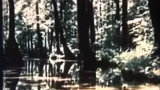 ImageFilm Spreewald Verockerung