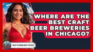 Where Are The Best Craft Beer Breweries In Chicago? - What To Know About Chicago
