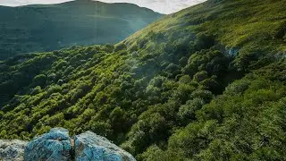 جنگل کی خاموشی سے قوسِ قزح تک | Forest, Clouds, Beach Sunlight & Waterfall