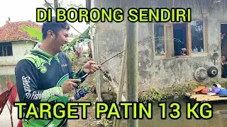 EDYAN SATU KOLAM DI BORONG SENDIRI‼️TARGET PATIN SUPER BABON 13 / 15 KG