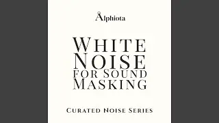 White Noise Eight