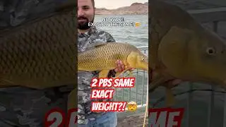 Caught a carp same weight as my PB&hellip;14lb 2oz! What are the odds? 🤯 #carp #fish #lakemead #outdoors