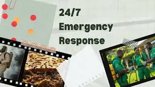 Effective Pest Control  and Fumigation Services | Expert Exterminators in Nairobi and Kenya