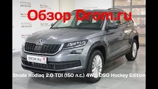Skoda Kodiaq 2019 2.0 TDI (150 л.с.) 4WD DSG Hockey Edition - видеообзор