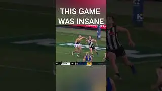 AFL but MEMES make it BETTER #afl #collingwood #westcoasteagles