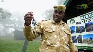 KWS Mountain Search & Rescue Rangers