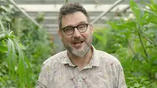 Het leven van de vlinder - deel 1 - Een ei hoort erbij!