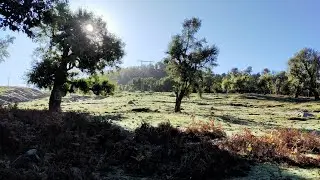 Bghaghza (dar chaoui) le 08/11/2020
