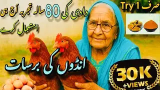 Murgi Anda Na De To Kya Karen? | How to enhance Hens eggs production | Haldi Ajwain roti recipe 