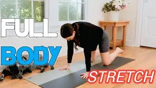 part 2. 10Minute  Body Stretch | Quick Yoga for Flexibility, Stress Relief & Energy