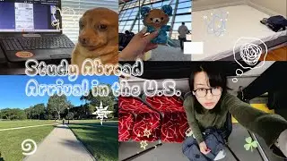 Study Abroad | Arrival in the U.S.