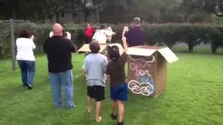Gender Reveal II