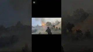 SECRETOS DEL BOSQUE CAPITULO 15: BOMBEROS