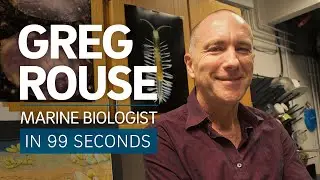 A Scientist's Life in 99 Seconds: Marine Biologist Greg Rouse