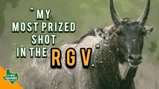 &ldquo;I Spent MONTHS Chasing This Exotic Bull Nilgai&rdquo; #WildlifePhotography
