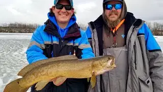 Ice Fishing for Bowfin (Dogfish) in La Crosse, WI 1/16/21