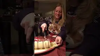 KERSTAVOND, Ijstaart snijden voor Mij en mijn OMA. #ijstaart #kerstavond #kerst #feest  #shorts