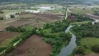 Dji mini2 test flight