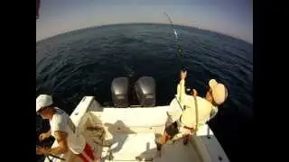 White Marlin Jumps Into Boat!!! MUST SEE!!!